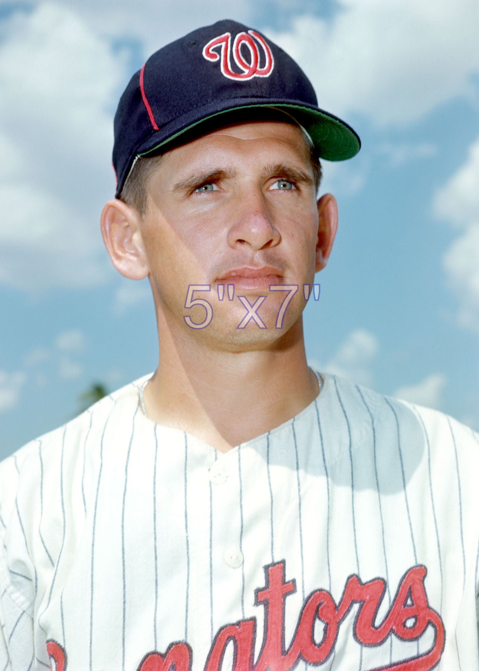 Pete Craig - 1968 Washington Senators - choose a size & style