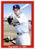 Pete Daley - 1961 Washington Senators - choose a size & style