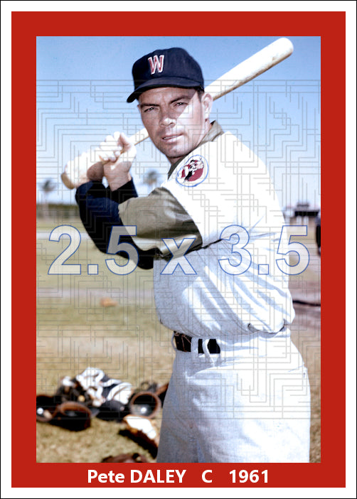 Pete Daley - 1961 Washington Senators - choose a size & style