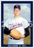 Pete Hamm - 1971 Minnesota Twins - choose a size & style