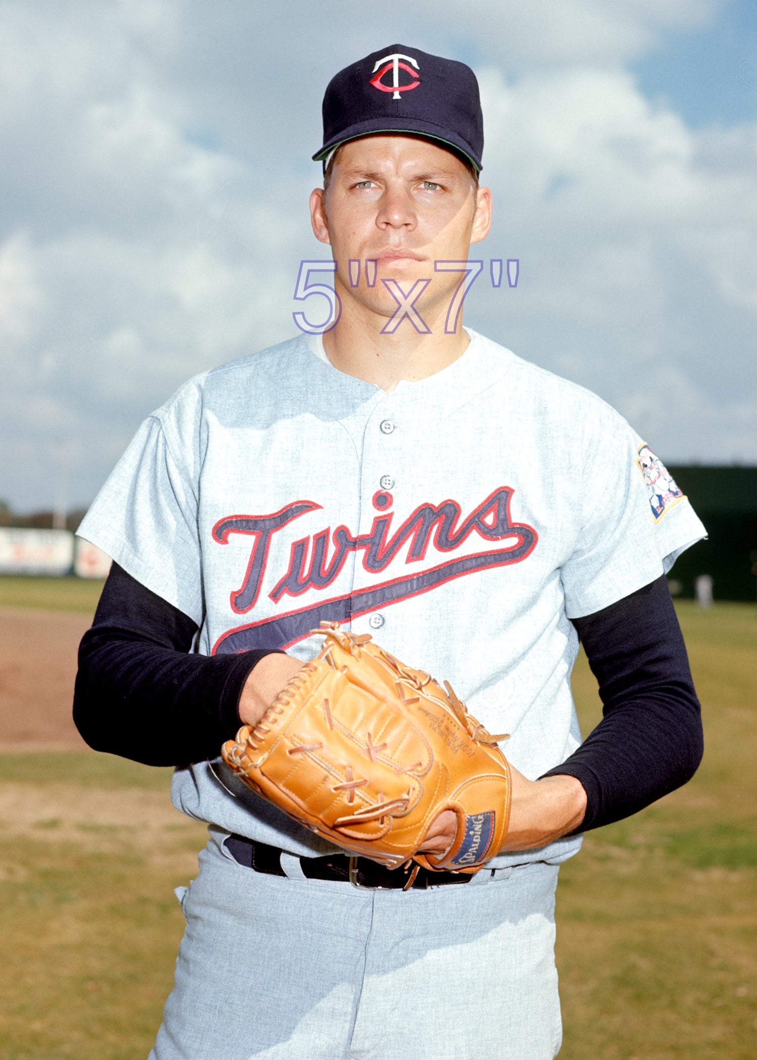 Pete Hamm - 1971 Minnesota Twins - choose a size & style