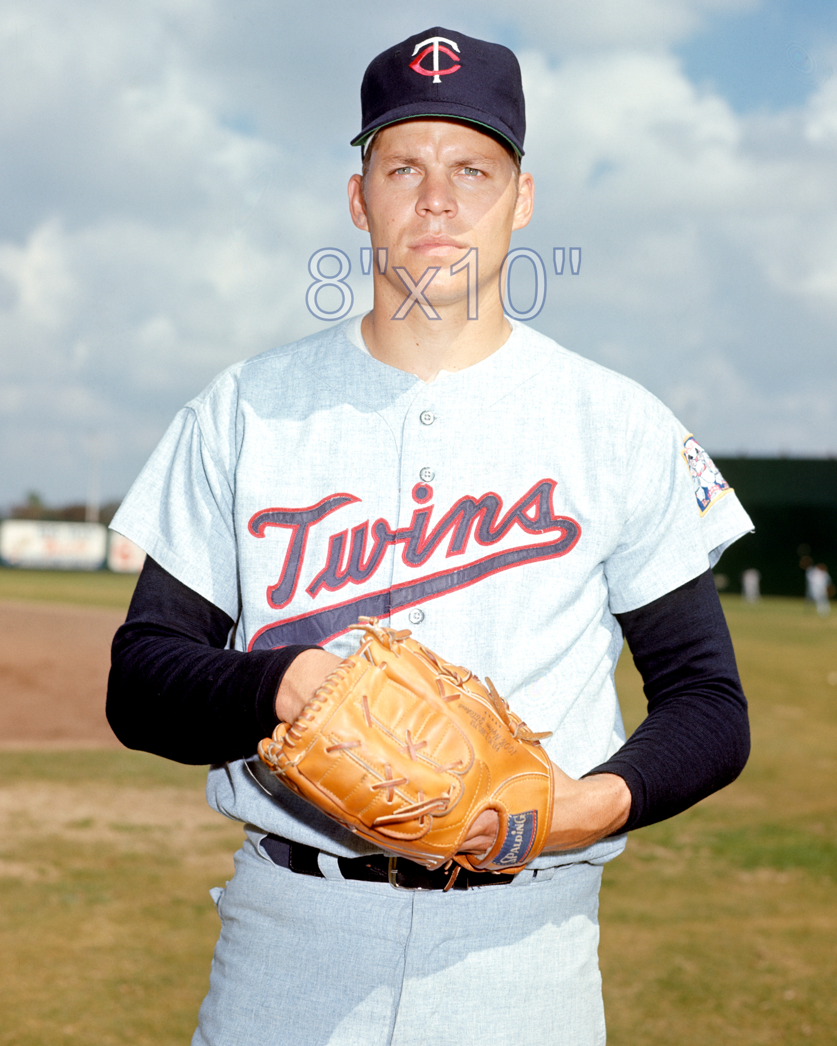 Pete Hamm - 1971 Minnesota Twins - choose a size & style