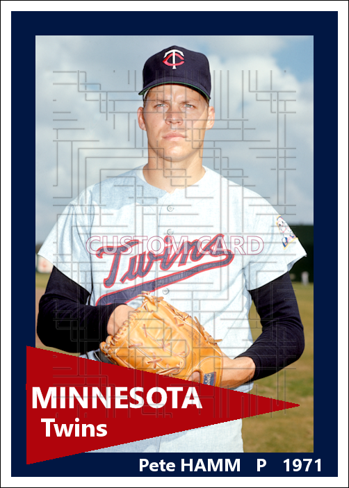 Pete Hamm - 1971 Minnesota Twins - choose a size & style