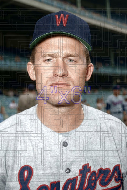 Pete Whisenant - 1960 Washington Senators - choose a size & style