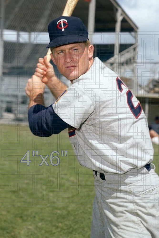 Pete Whisenant - 1961 Minnesota Twins - choose a size & style