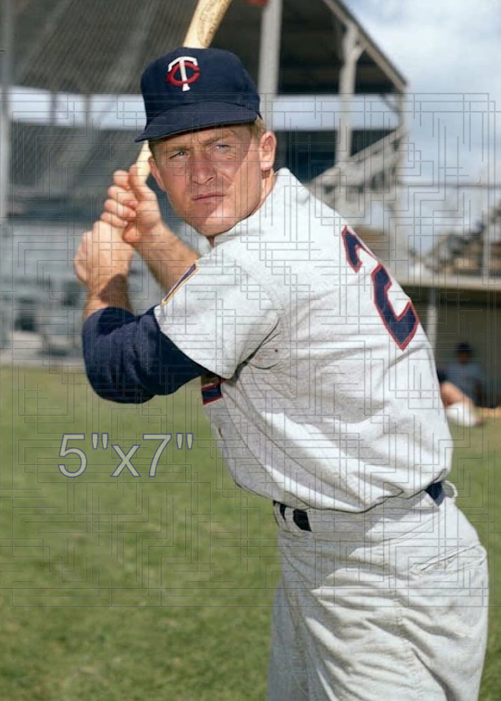 Pete Whisenant - 1961 Minnesota Twins - choose a size & style