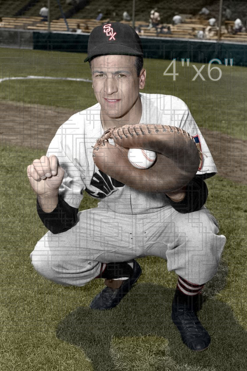 Phil Masi - 1951 Chicago White Sox - choose a size & style