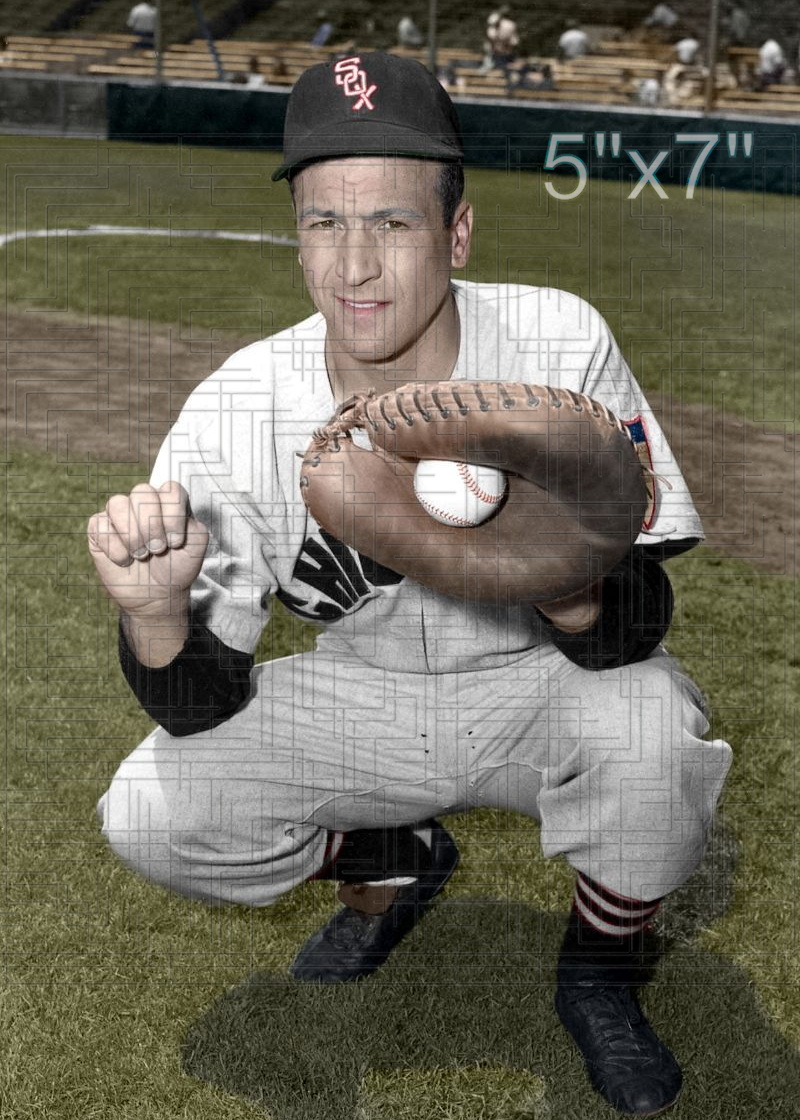 Phil Masi - 1951 Chicago White Sox - choose a size & style