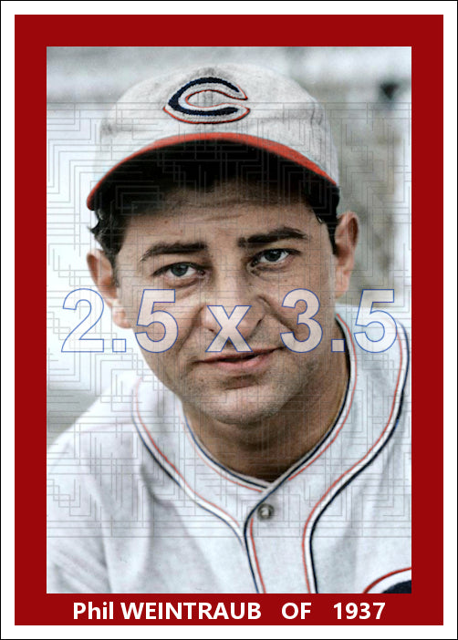 Phil Weintraub - 1937 Cincinnati Reds - choose a size & style
