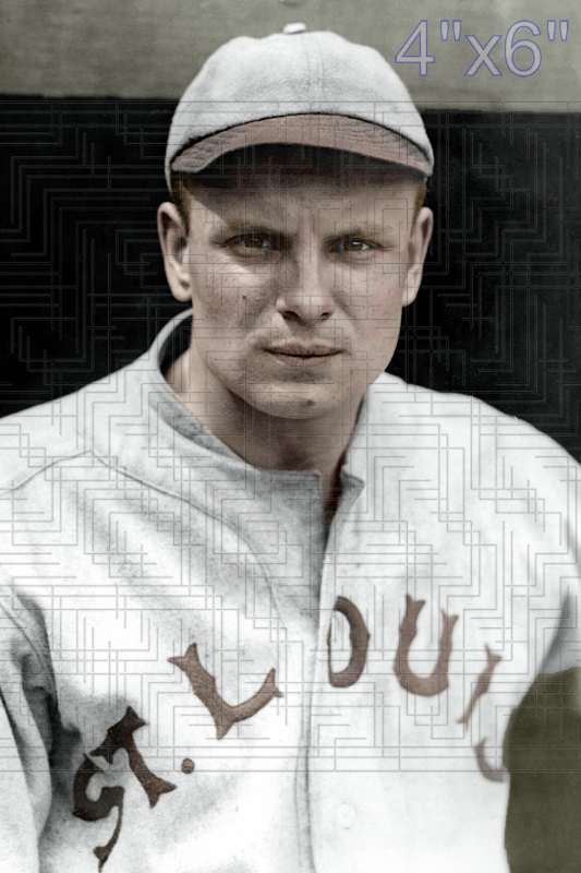 Pickles Dillhoefer - 1919 St. Louis Browns - choose a size & style