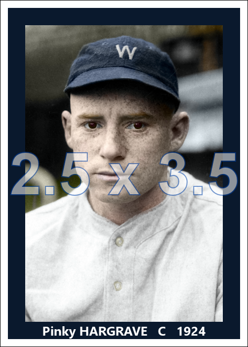 Pinky Hargrave - 1924 Washington Senators - choose a size & style