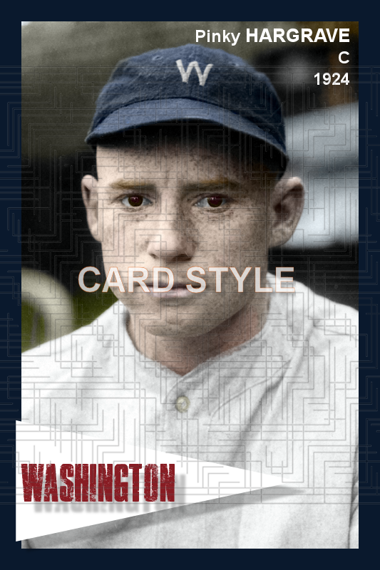 Pinky Hargrave - 1924 Washington Senators - choose a size & style