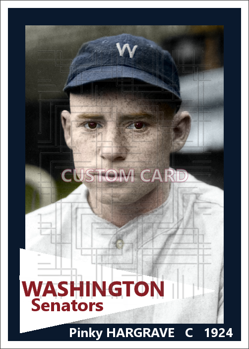 Pinky Hargrave - 1924 Washington Senators - choose a size & style
