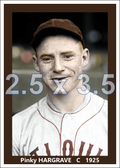 Pinky Hargrave - 1925 St. Louis Browns - choose a size & style