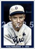 Pinky Hargrave - 1930 Detroit Tigers - choose a size & style
