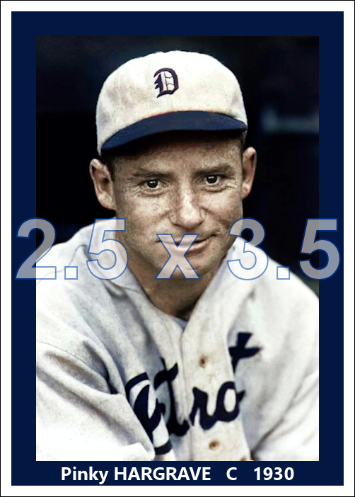 Pinky Hargrave - 1930 Detroit Tigers - choose a size & style