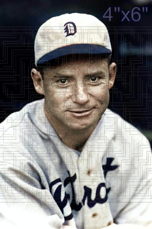 Pinky Hargrave - 1930 Detroit Tigers - choose a size & style