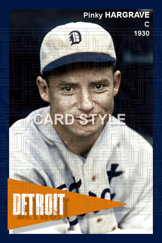 Pinky Hargrave - 1930 Detroit Tigers - choose a size & style