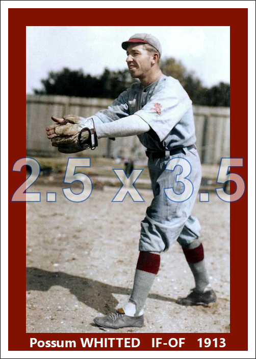 Possum Whitted - 1913 St. Louis Cardinals - choose a size & style