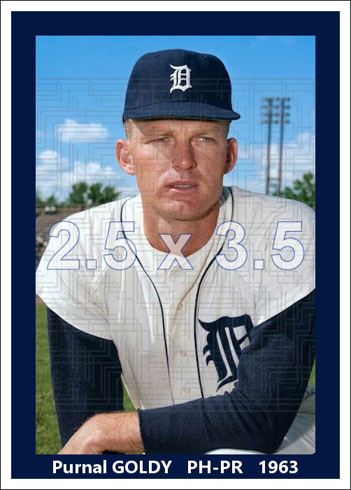 Purnal Goldy - 1963 Detroit Tigers - choose a size & style