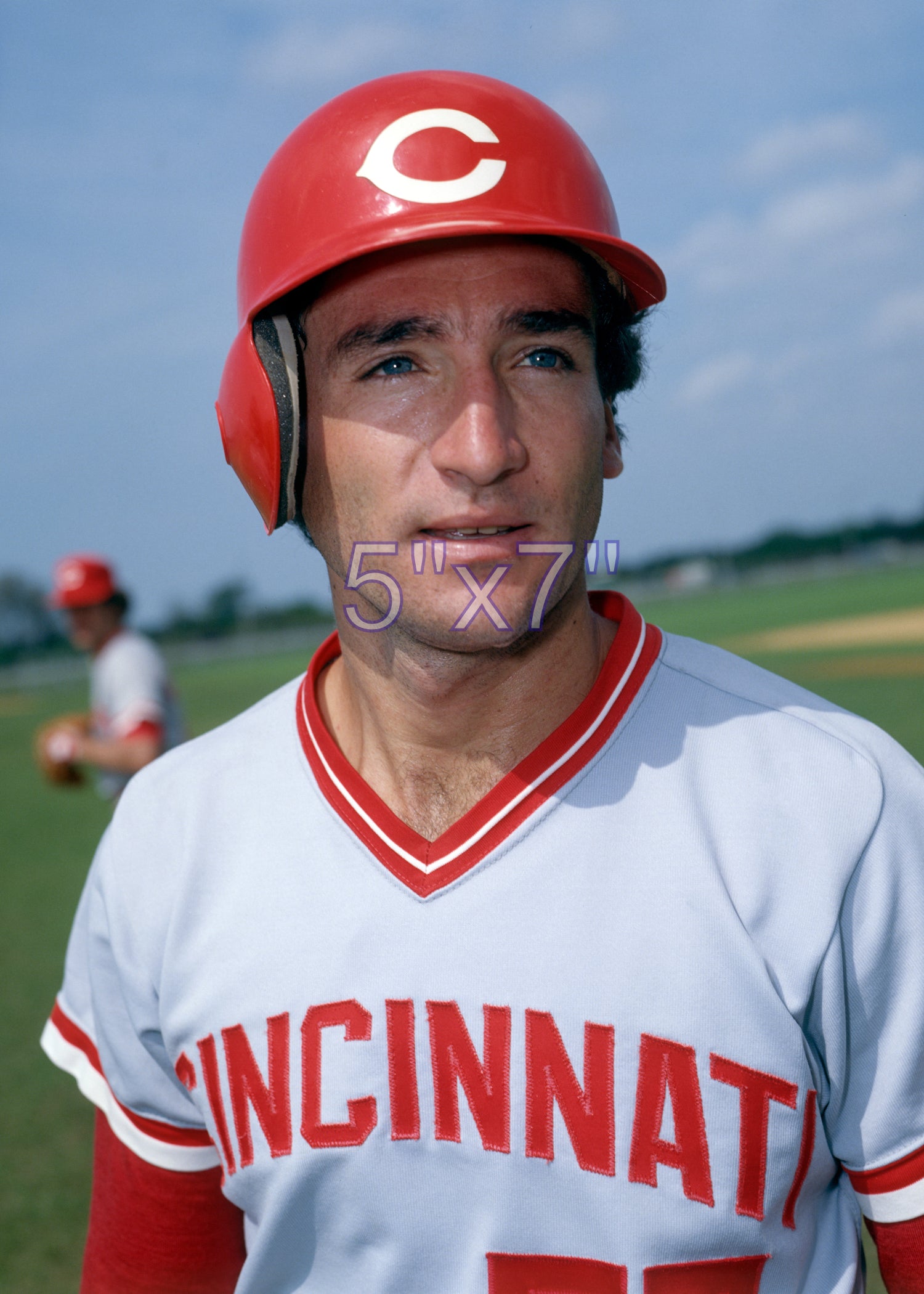 Rafael Santo Domingo - 1979 Cincinnati Reds - choose a size & style