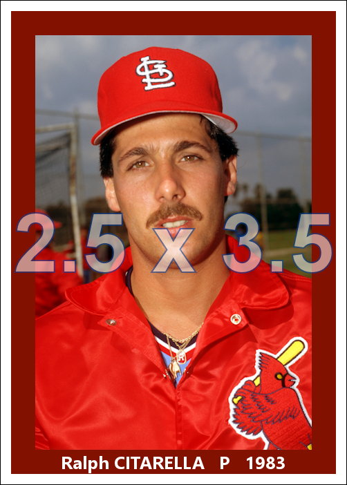 Ralph Citarella - 1983 St. Louis Cardinals - choose a size & style