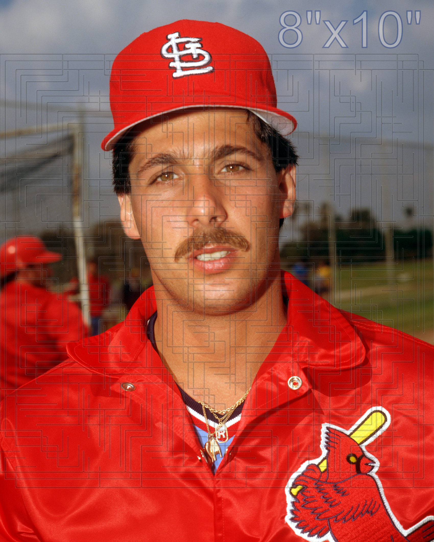 Ralph Citarella - 1983 St. Louis Cardinals - choose a size & style