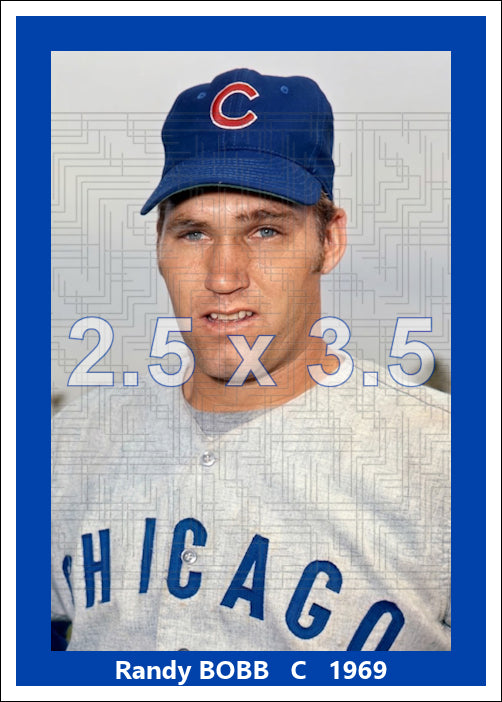 Randy Bobb - 1969 Chicago Cubs - choose a size & style