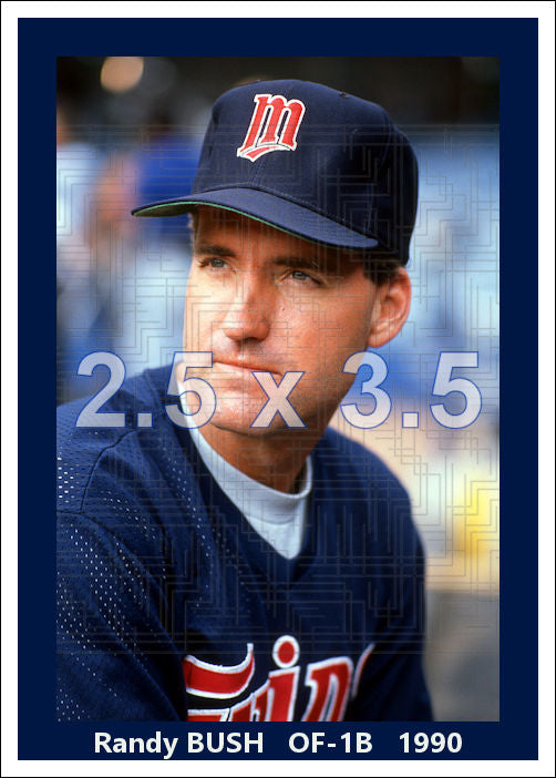 Randy Bush - 1990 Minnesota Twins - choose a size & style