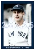 Randy Gumpert - 1946 New York Yankees - choose a size & style