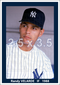 Randy Velarde - 1988 New York Yankees - choose a size & style
