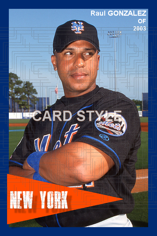 Raul Gonzalez - 2003 New York Mets - choose a size & style