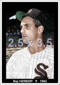 Ray Herbert - 1962 Chicago White Sox - choose a size & style
