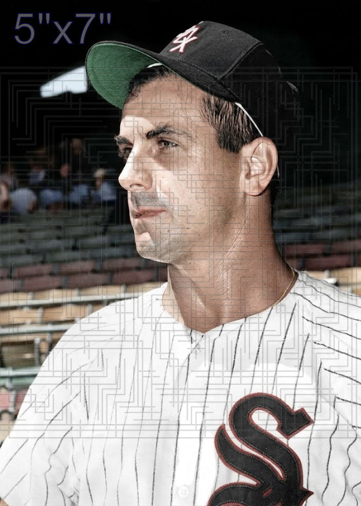 Ray Herbert - 1962 Chicago White Sox - choose a size & style