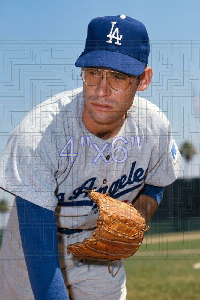 Ray Lamb - 1969 Los Angeles Dodgers - choose a size & style