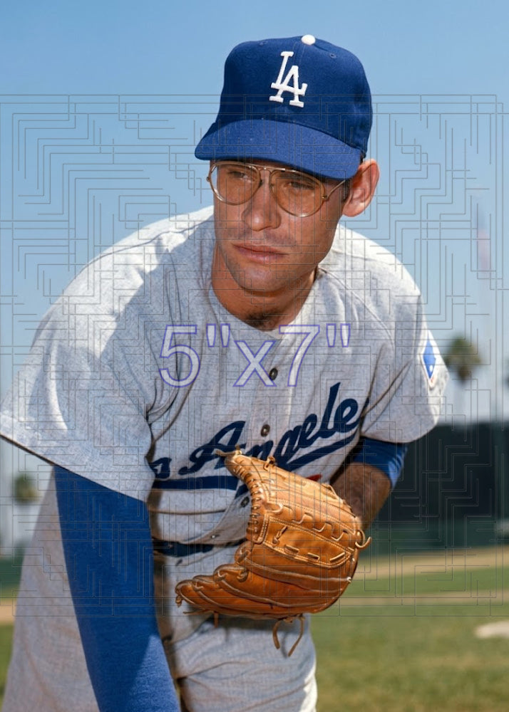 Ray Lamb - 1969 Los Angeles Dodgers - choose a size & style