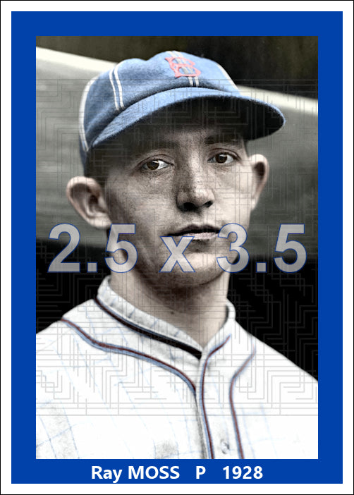 Ray Moss - 1928 Brooklyn Robins - choose a size & style