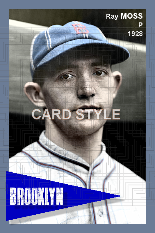 Ray Moss - 1928 Brooklyn Robins - choose a size & style