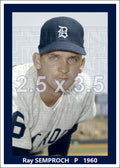 Ray Semproch - 1960 Detroit Tigers - choose a size & style