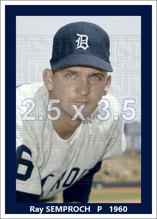 Ray Semproch - 1960 Detroit Tigers - choose a size & style