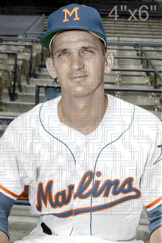 Ray Semproch - 1957 Miami Marlins - choose a size & style