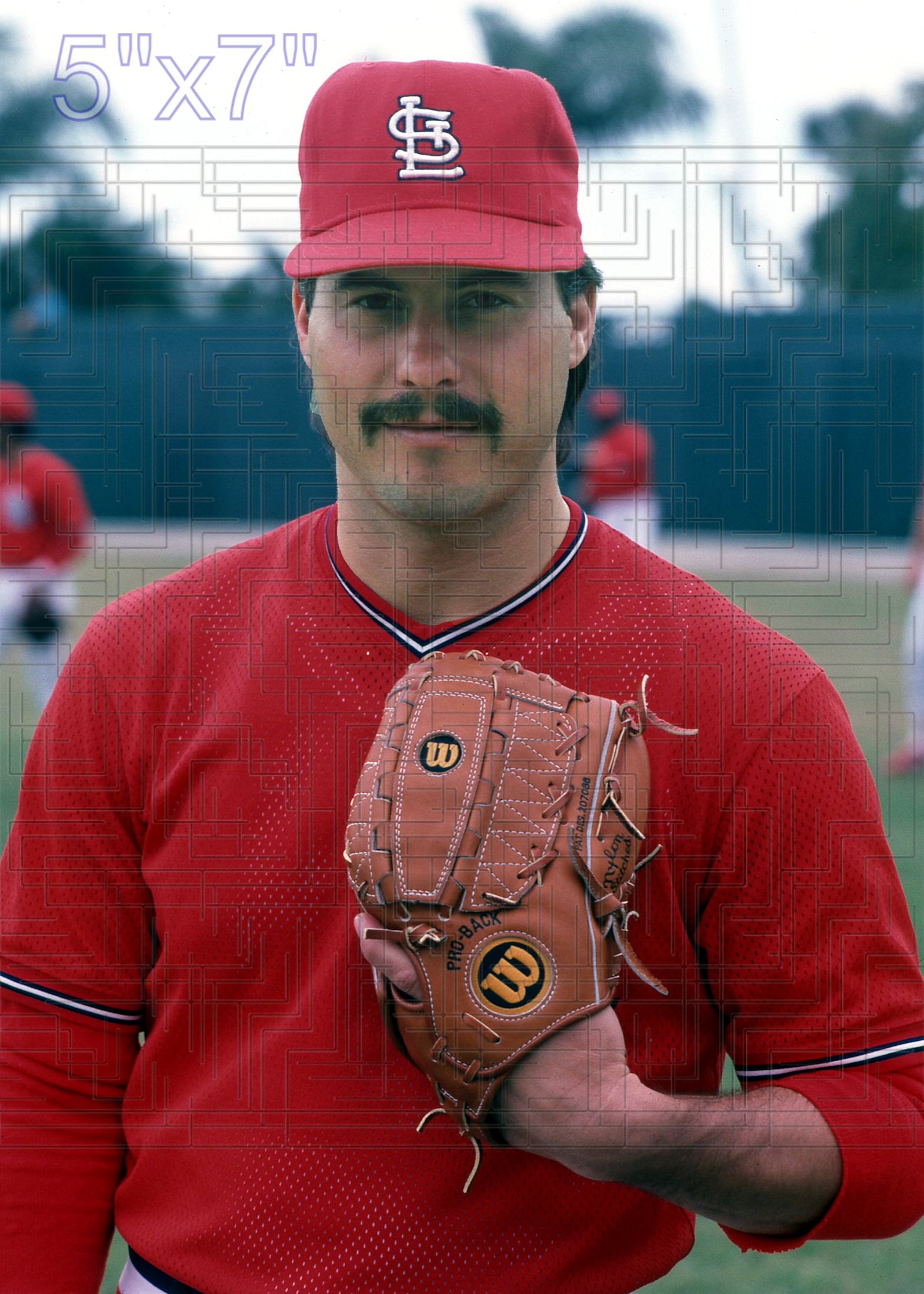 Ray Soff - 1986 St. Louis Cardinals - choose a size & style