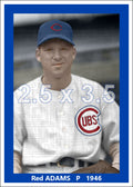 Red Adams - 1946 Chicago Cubs - choose a size & style