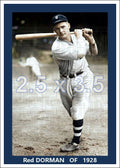 Red Dorman - 1928 Cleveland Indians - choose a size & style