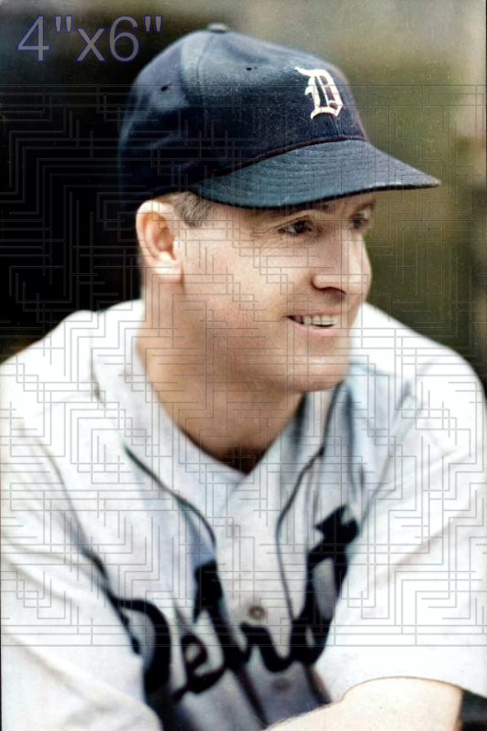 Red Kress - 1939 Detroit Tigers - choose a size & style