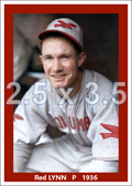 Red Lynn - 1936 Columbus Red Birds - choose a size & style