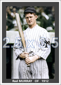 Red Murray - 1912 New York Giants - choose a size & style