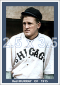 Red Murray - 1915 Chicago Cubs - choose a size & style
