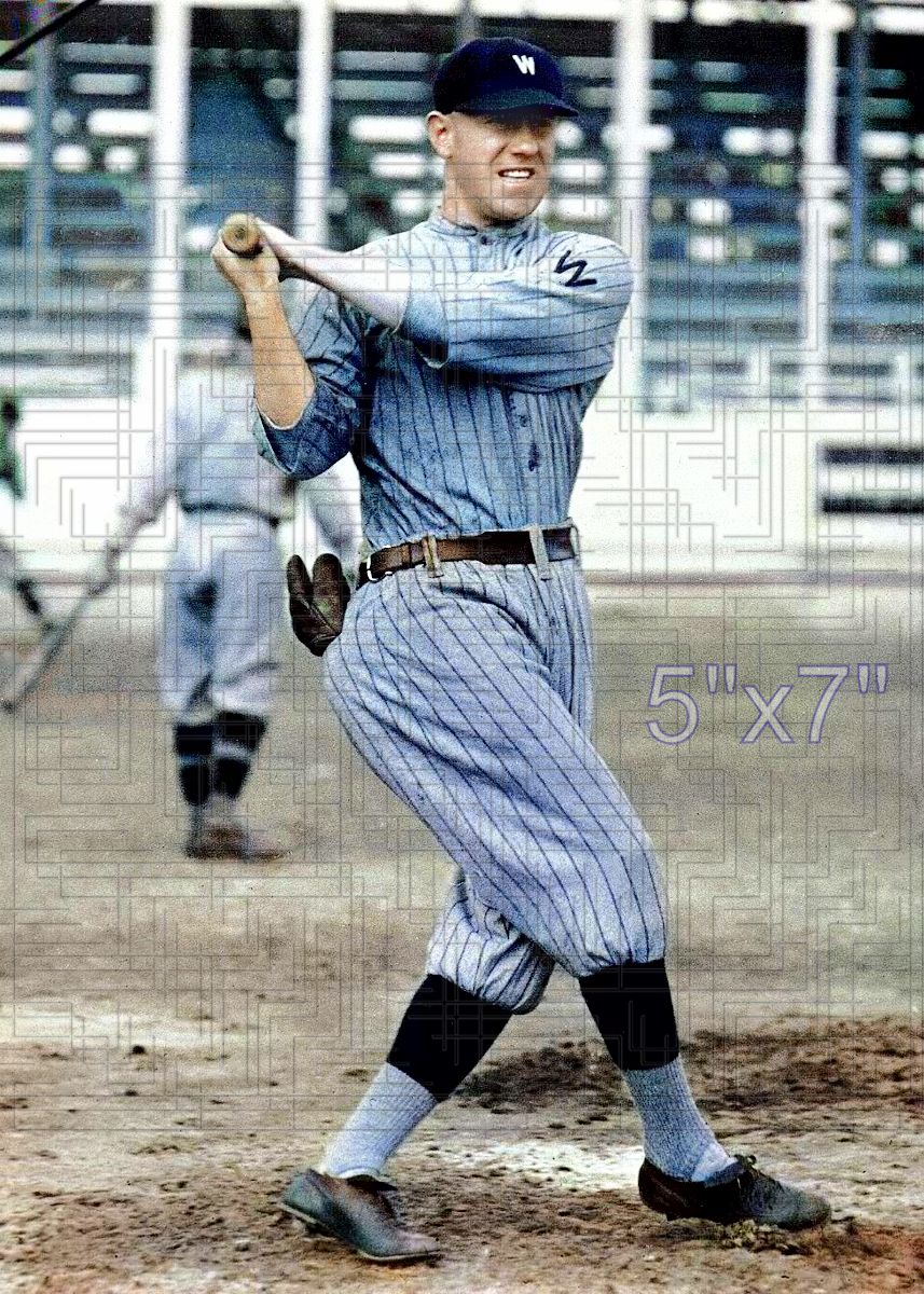 Red Shannon - 1920 Washington Senators - choose a size & style