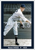 Reese Diggs - 1934 Washington Senators - choose a size & style